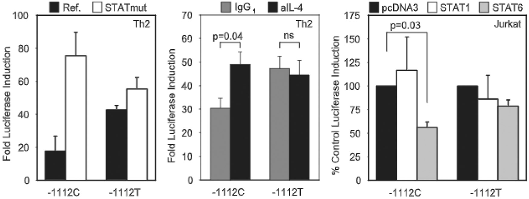 FIGURE 4.