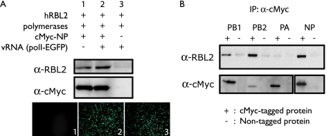 FIG. 4.