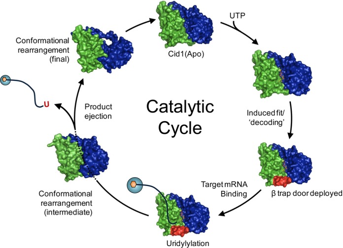 Figure 5.