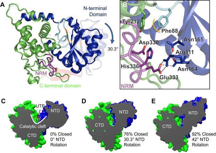 Figure 2.