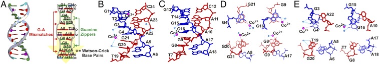 Fig. 3.