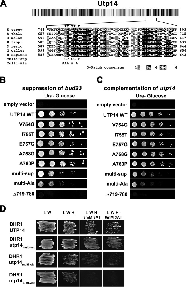 FIG 2