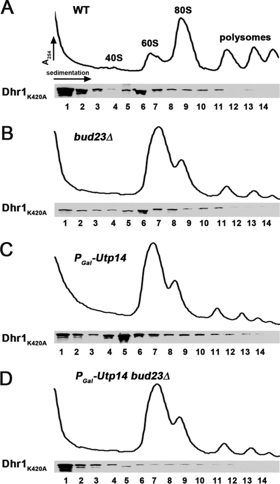 FIG 9