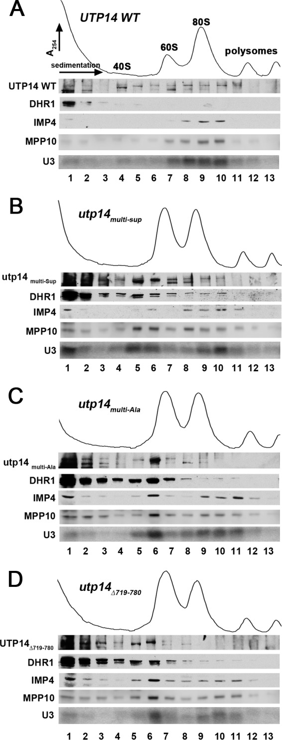 FIG 4