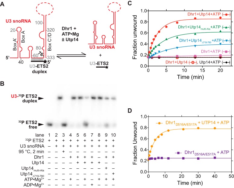 FIG 6