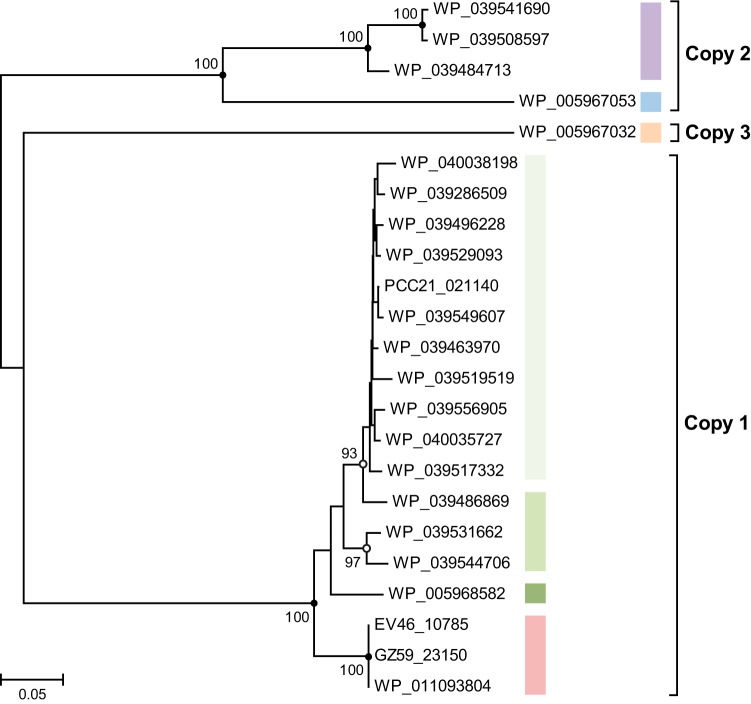 FIG 4