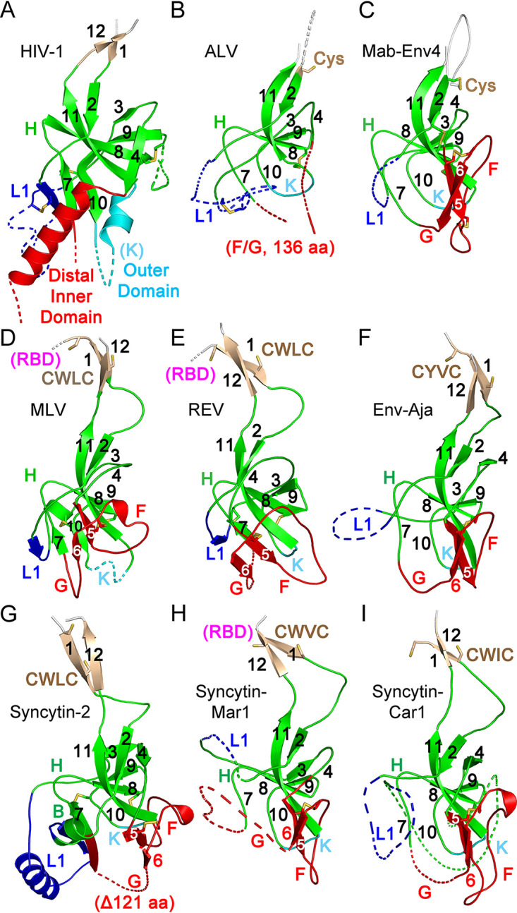 FIG 6