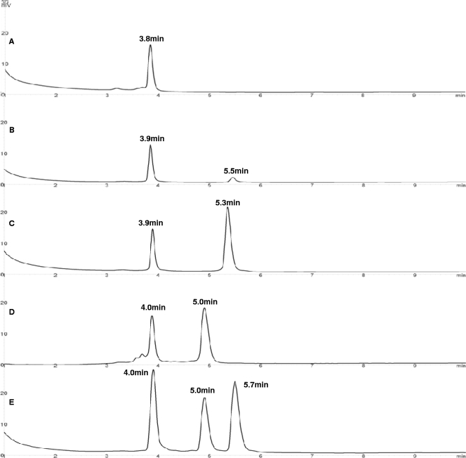 FIG. 5.