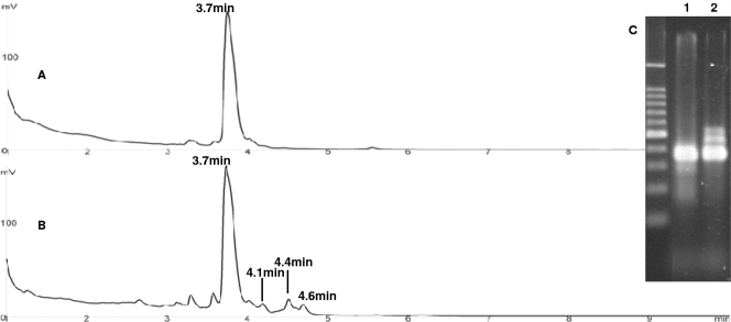 FIG. 6.