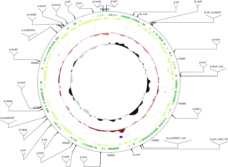 FIG. 1.—