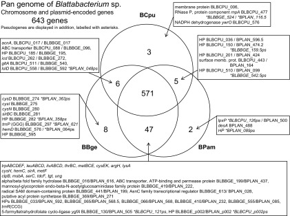 FIG. 2.—