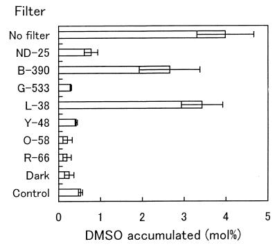 FIG. 7