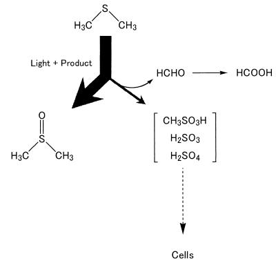 FIG. 8