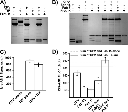 FIG. 7.