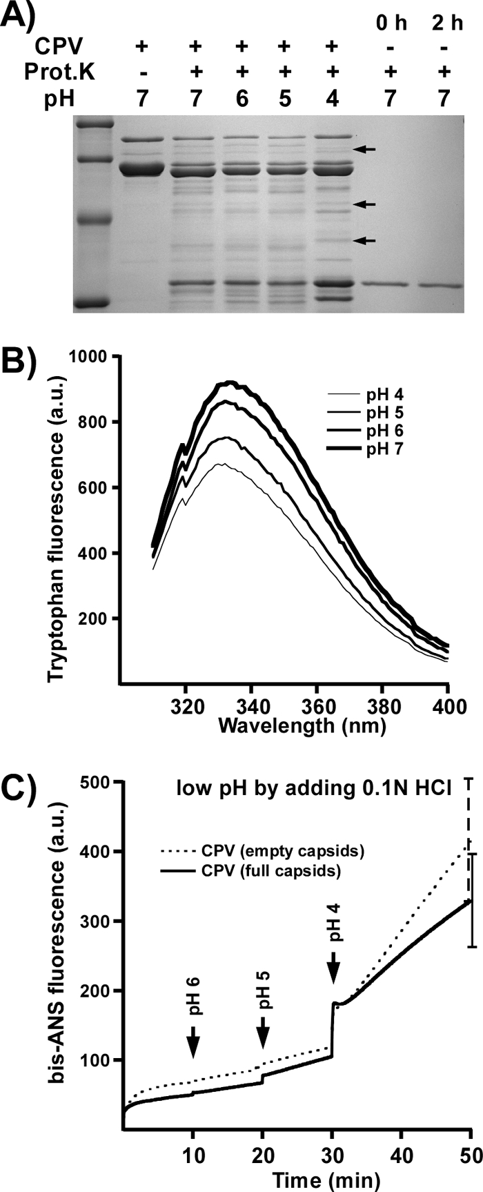 FIG. 5.