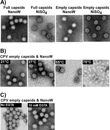 FIG. 9.