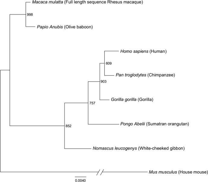 Figure 4.