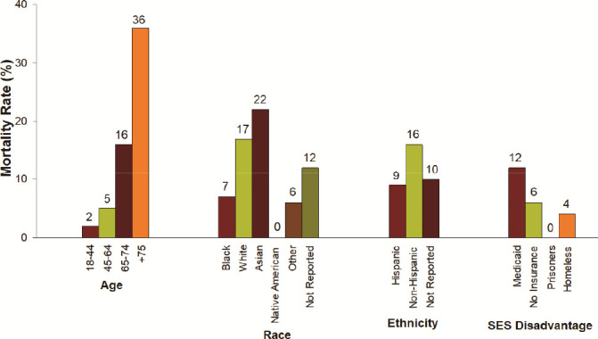 Mortality Rates as Subcategorized by Age, Race, Ethnicity, and SES Disadvantage Status.