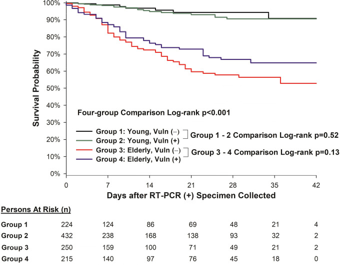 Kaplan-Meier survival curves of the mutually exclusive four-group comparisons. Group 1: young (age < 65) and “vulnerable negative” (without either racial/ethnicity minorities nor SES disadvantage). Group 2: young (age < 65) and “vulnerable positive” (with either self-reported racial/ethnic minorities or classified as having SES disadvantage status, or both). Group 3: elderly (age ≥ 65) and “vulnerable negative” (without either racial/ethnicity minorities nor SES disadvantage). Group 4: elderly (age ≥ 65) and “vulnerable positive” (with either self-reported racial/ethnic minorities or classified as having SES disadvantage status, or both).