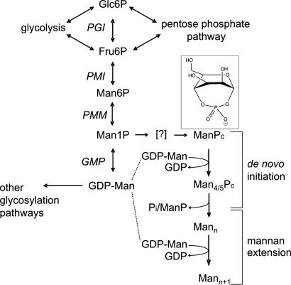 Fig. 5.