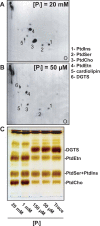 FIG 2