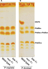 FIG 3
