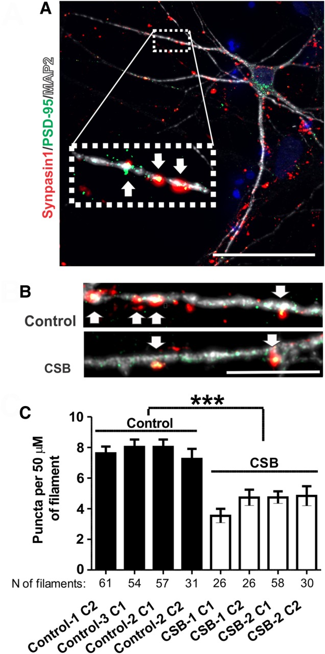 Figure 4.