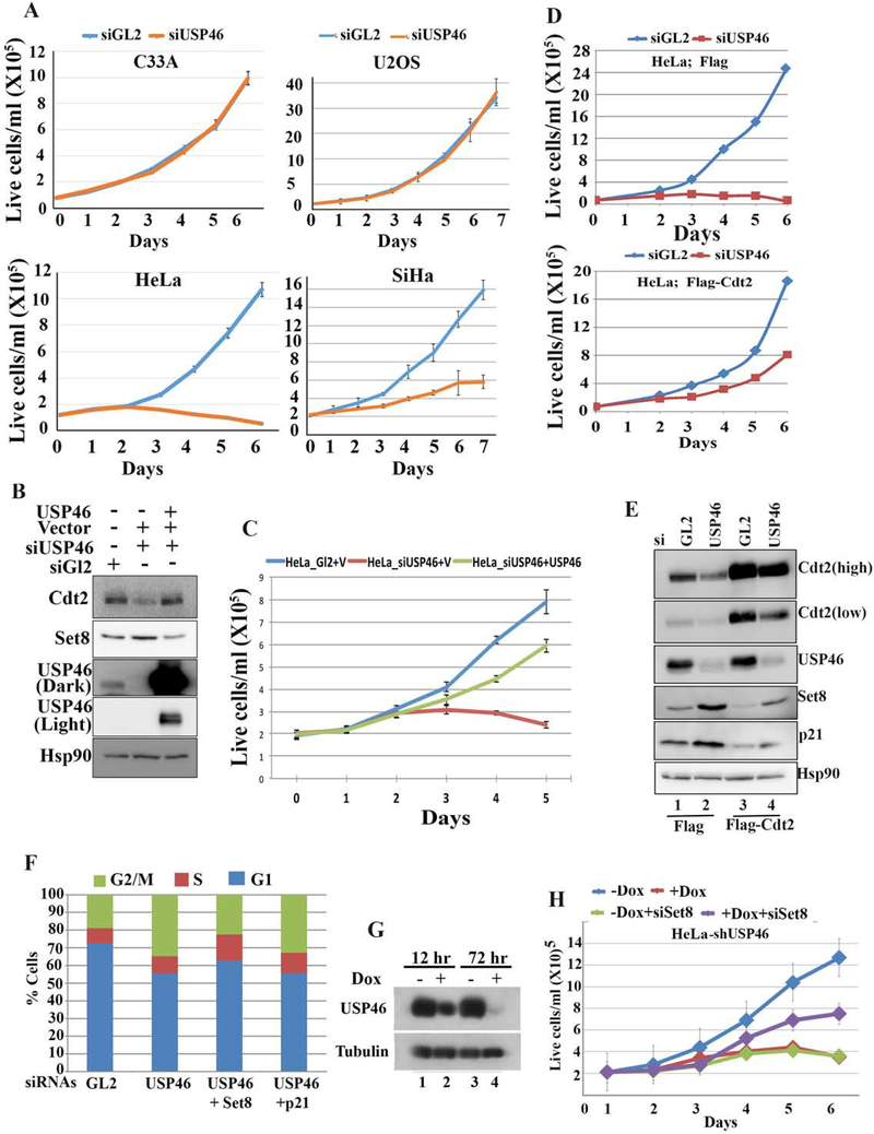 Figure 6: