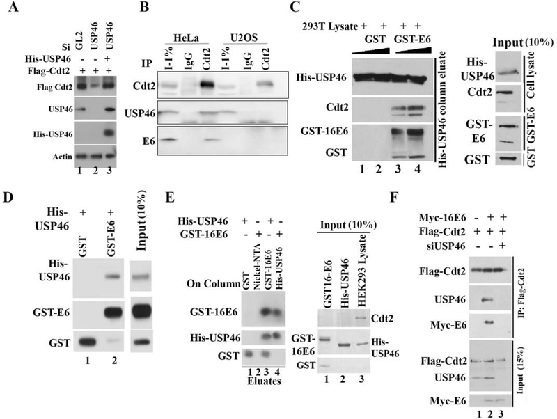 Figure 2: