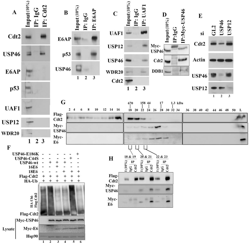 Figure 5: