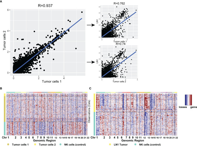 Figure 6