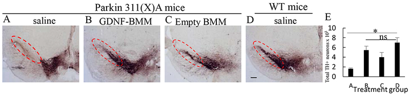 Figure 5.