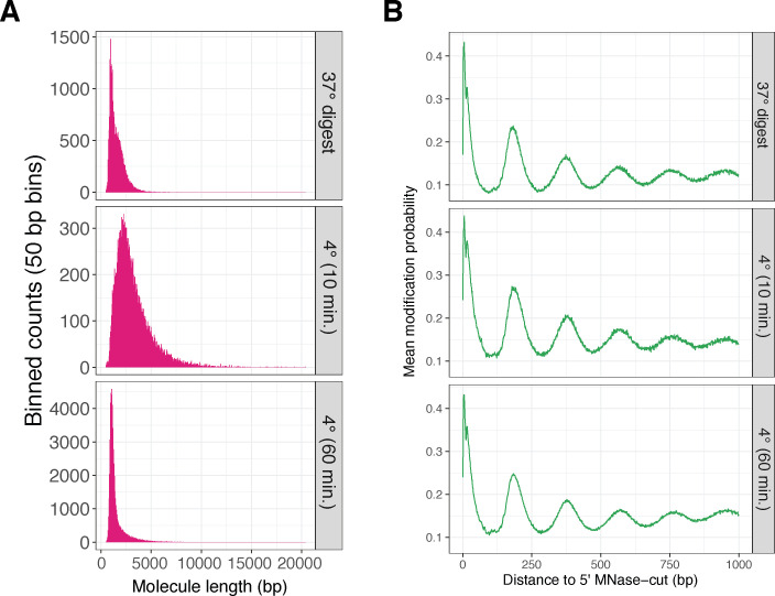 Figure 2—figure supplement 1.