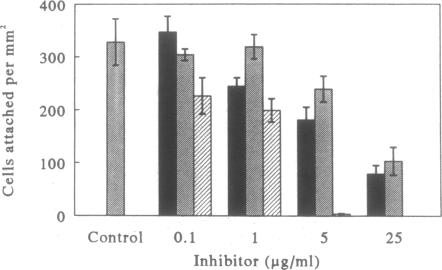 graphic file with name pnas01081-0545-a.jpg