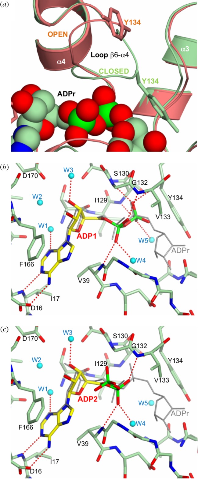 Figure 4.