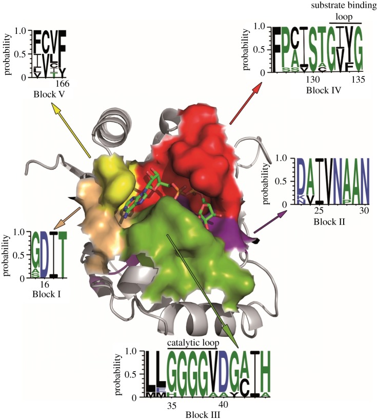 Figure 2.