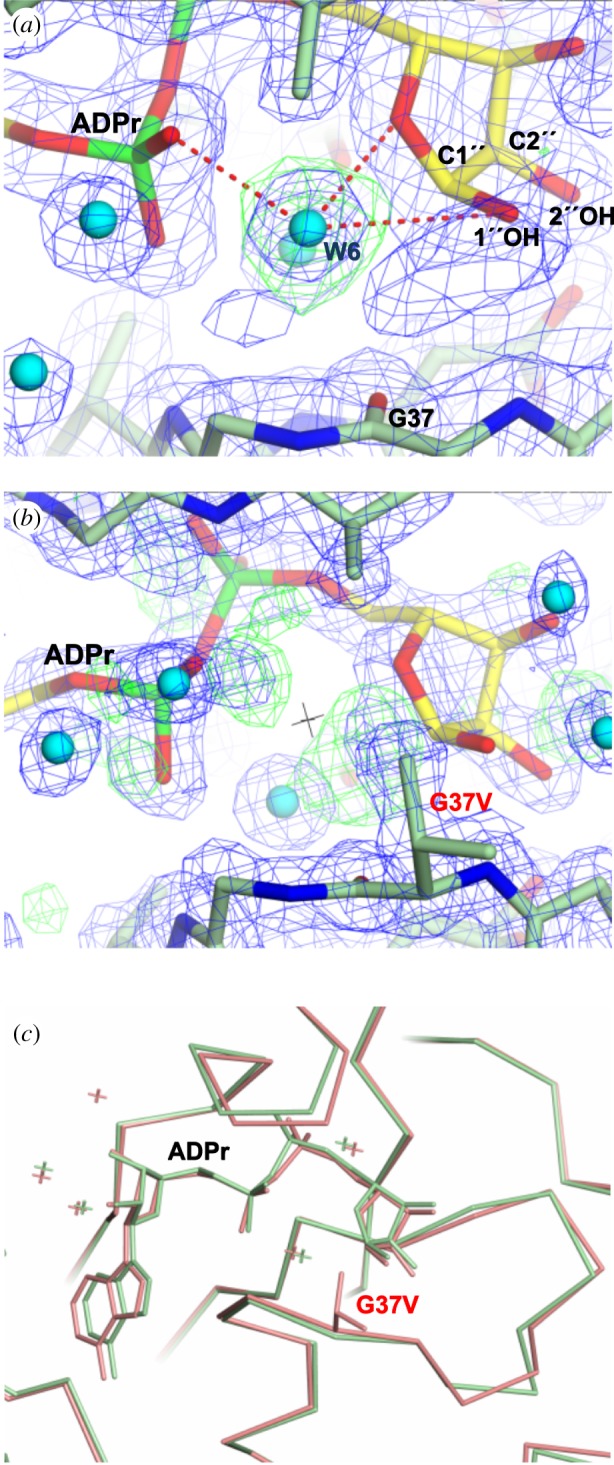 Figure 7.