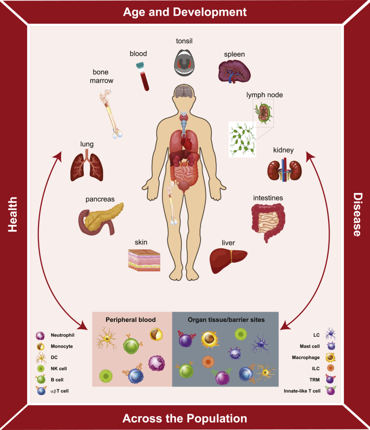 Figure 1