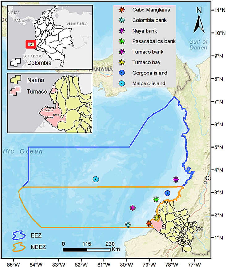 Figure 1