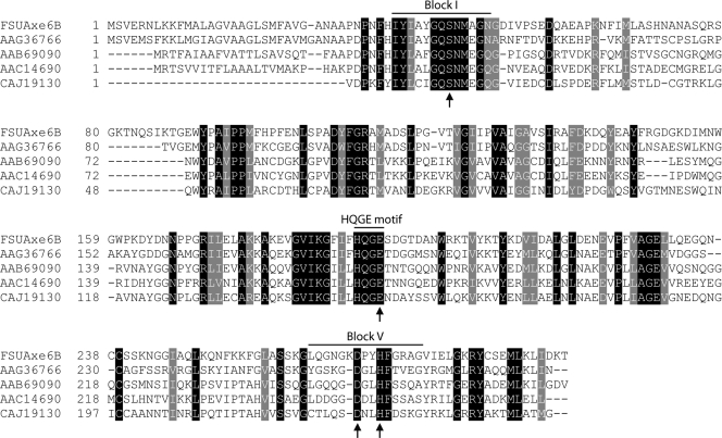 FIG. 6.