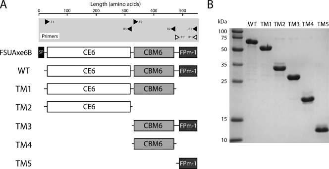 FIG. 2.