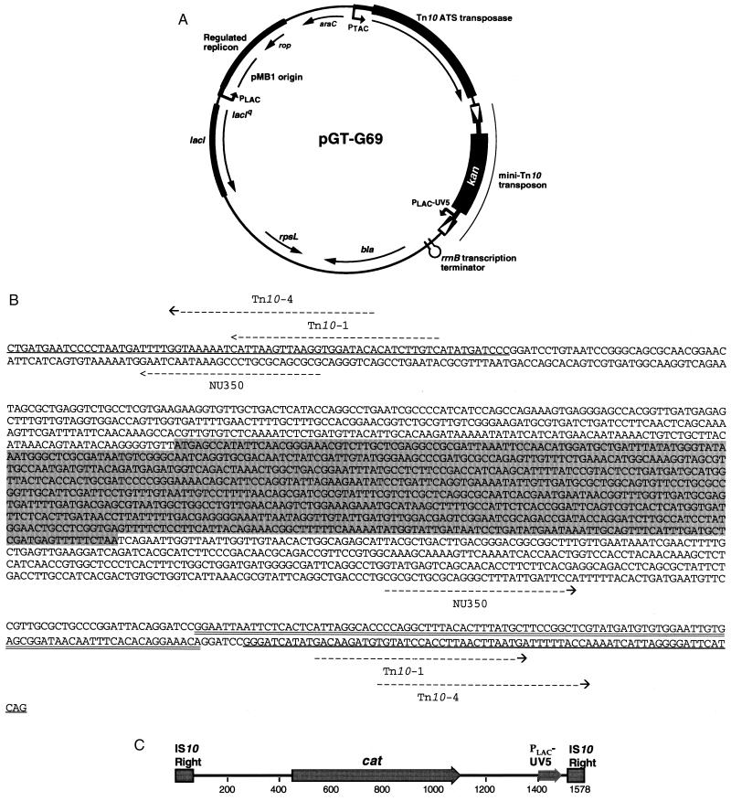 FIG. 1