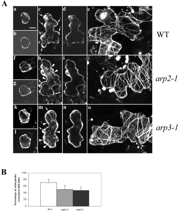 Figure 5.