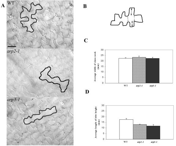 Figure 3.