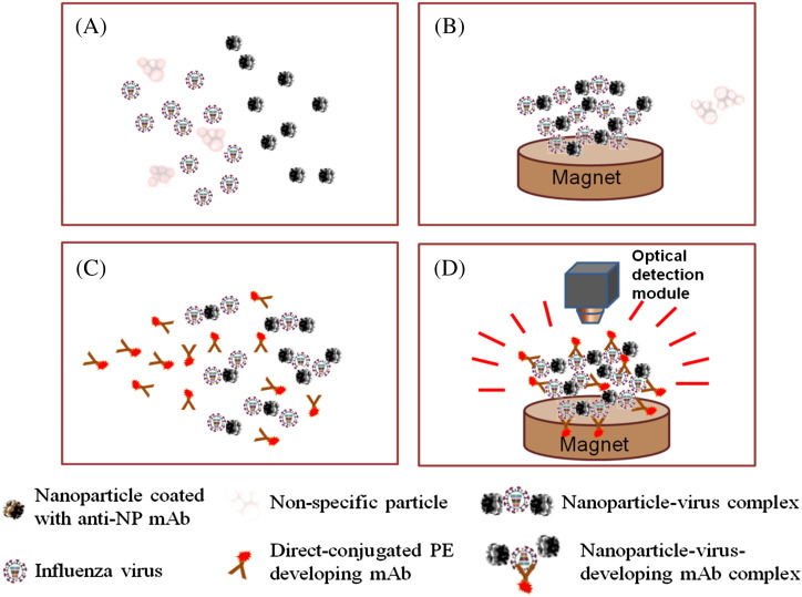 Figure 1