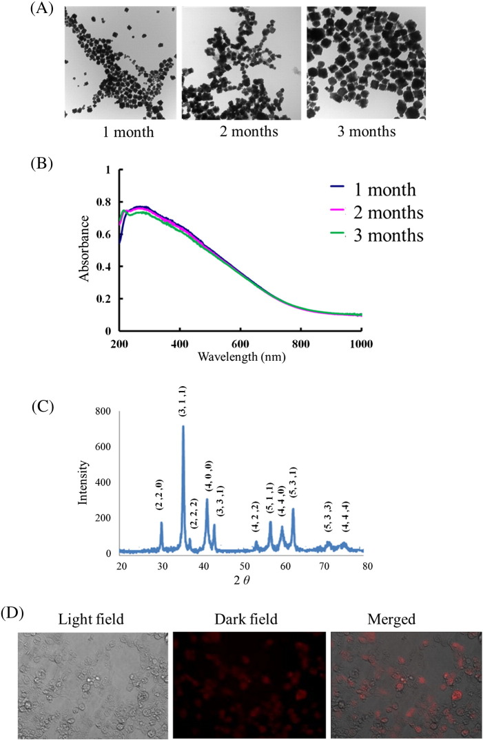 Figure 4