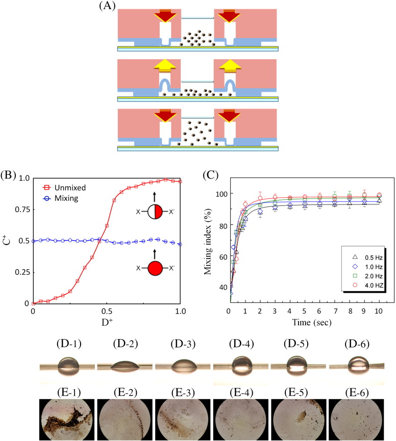 Figure 5