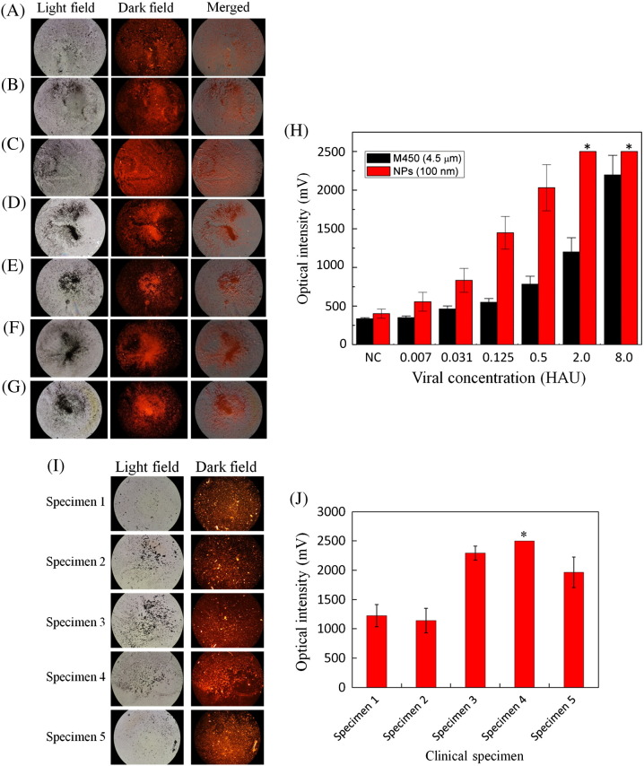 Figure 6