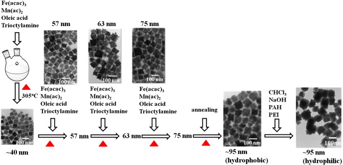 Figure 3