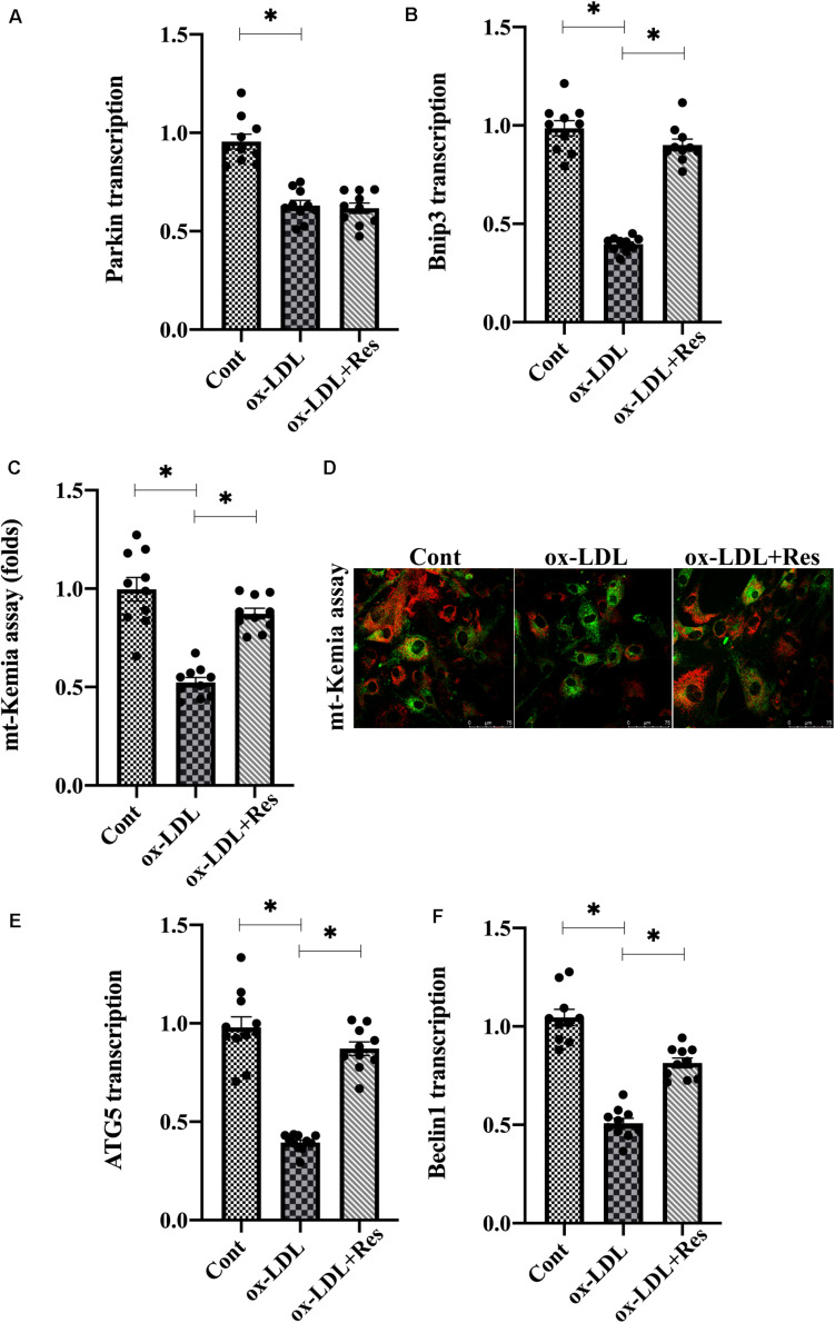 FIGURE 3